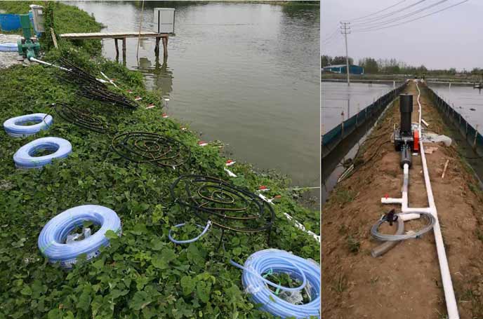 水產養殖羅茨91麻豆精品无码人色哟哟