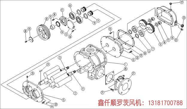 三葉羅茨鼓91麻豆精品无码人色哟哟安裝示意圖