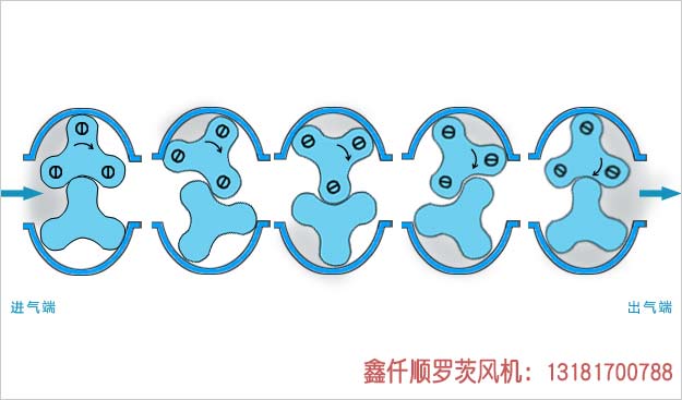 羅茨91麻豆精品无码人色哟哟工作原理